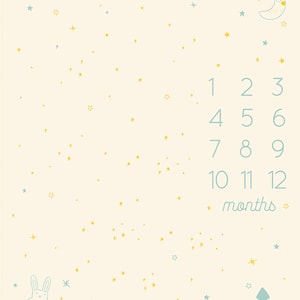May include: A baby milestone growth chart with a light blue background and yellow stars. The chart has numbers 1 through 12 with the word "months" below. There is a crescent moon with a sleeping face, a small tree, and a rabbit on the chart.