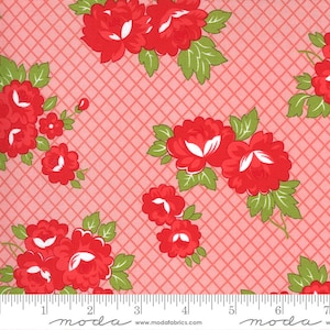 Sunday Stroll Pink by Bonnie and Camille for Moda Fabrics, 55221 13 This fabric is sold in HALF yard increments