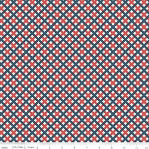 Sweet Freedom Gingham Picnic Multi by Beverly McCullough for Riley Blake Designs C14417-MULTI Fabric sold in HALF YARD increments.