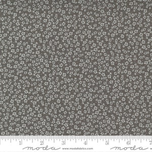 Seashore Drive Charcoal by Sherri and Chelsi for Moda Fabrics, 37624 22 Sold in HALF yard increments