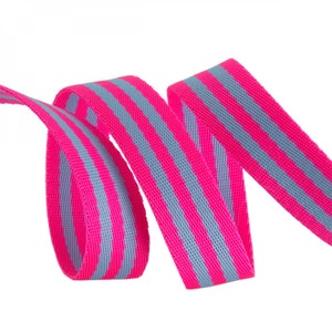 Tula Pink Webbing 2yd x 1in - Aquamarine and Hot Pink by Tula Pink for Renaissance Ribbons TKP-91-2Y-COL05