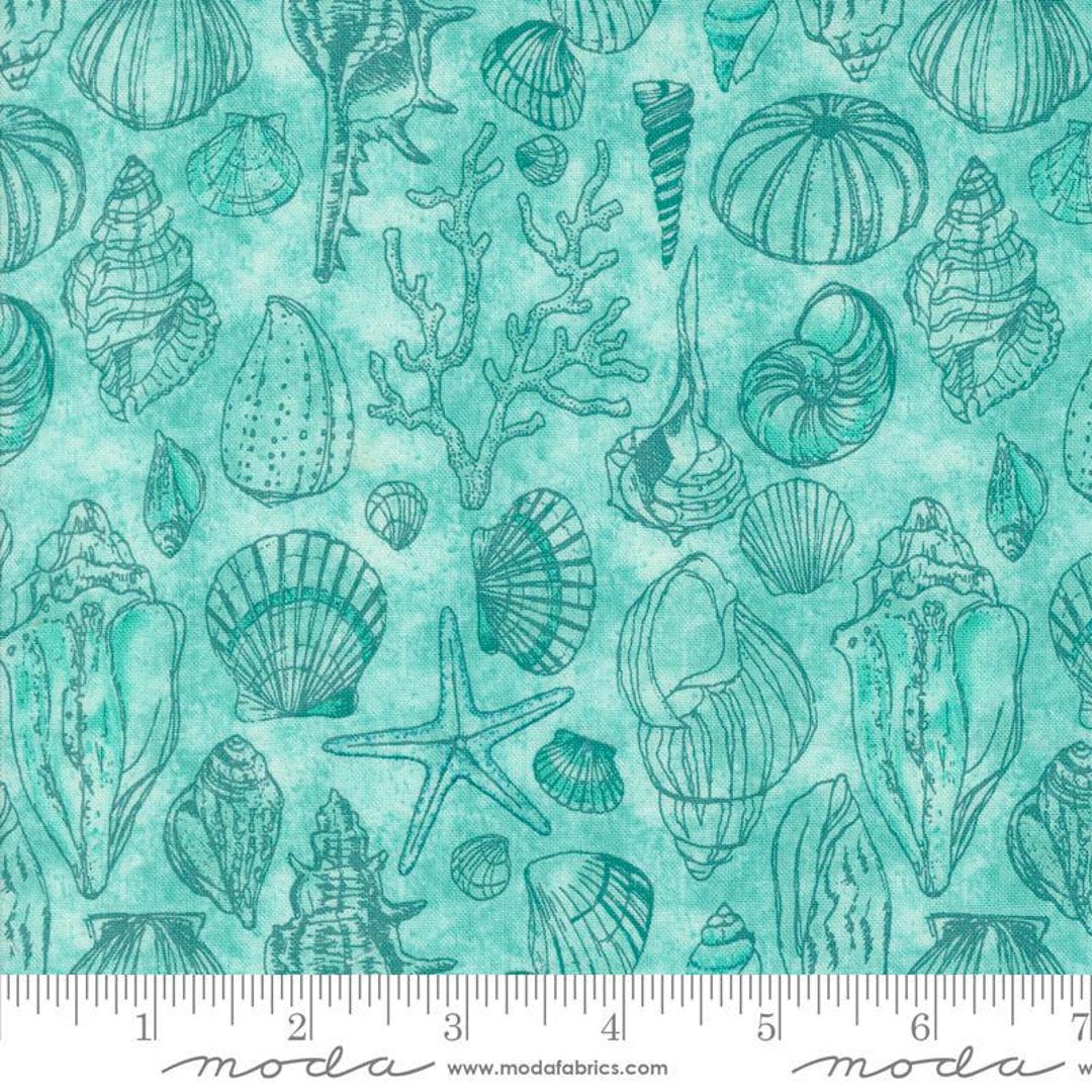 Serena Shores Sketchy Shells Aqua by Robin Pickens for Moda Fabrics ...