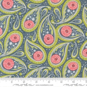 Dandi Duo Paisley Graphite by Robin Pickens for Moda Fabrics 48753 17 Sold in HALF yard increments