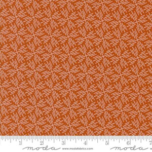 Folk & Lore Etched Pumpkin by Fancy That Design House for Moda Fabrics 45608 14 Sold in HALF yard increments