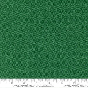 Jungle Paradise Monstera Dark Green - Stacy Iest Hsu - PER QUARTER METRE Jungle Paradise Monstera Dark Green - Stacy Iest Hsu - PER QUARTER METRE