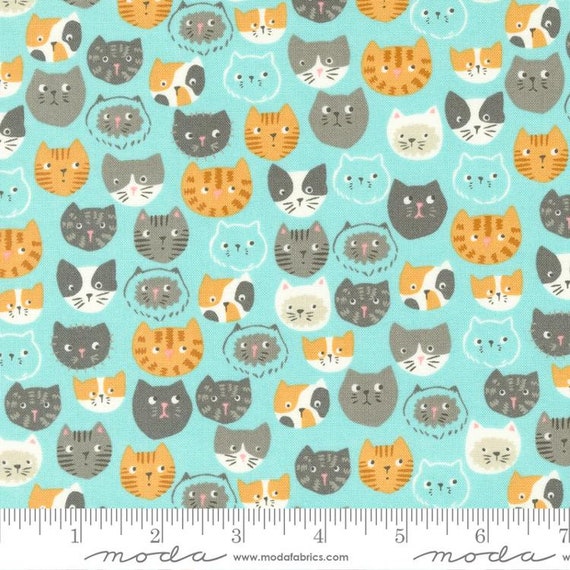 Here Kitty Kitty: Meow in Aqua **ALMOST GONE** Here Kitty Kitty: Meow in Aqua **ALMOST GONE**