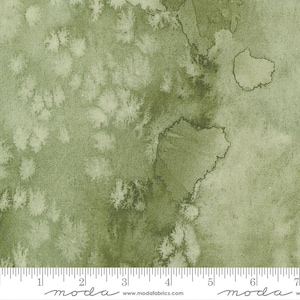Desert Oasis Flow Cypress by Create Joy Project for Moda Fabrics 8433 76 Fabric is sold in HALF Yard Increments
