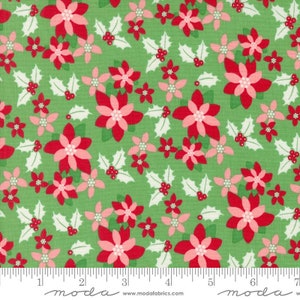 Kitty Christmas: Poinsettia Florals in Holly Kitty Christmas: Poinsettia Florals in Holly