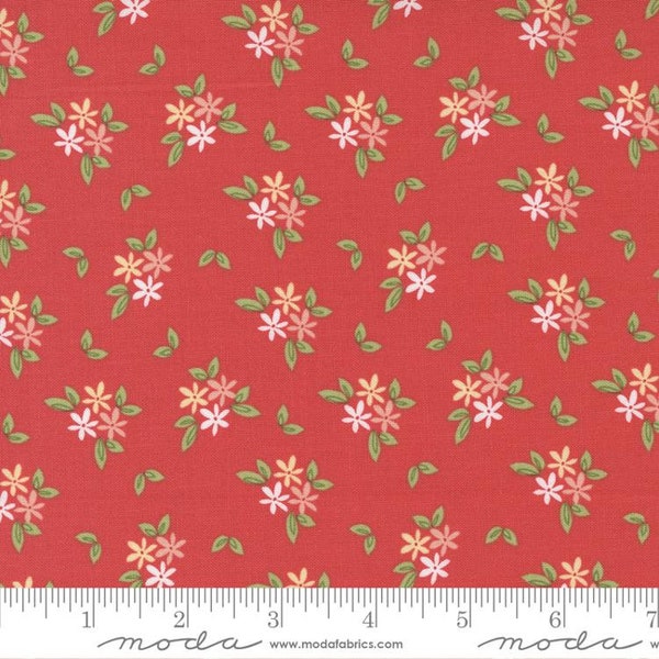 Emma Daisies Geranium by Sherri and Chelsi for Moda Fabrics 37632 13 Sold in HALF yard increments