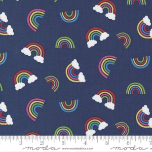 Rainbow Garden Blueberry by Abi Hall for Moda Fabrics 35362 18 Sold in HALF yard increments
