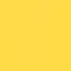 May include: Solid yellow background. The image is a flat, uniform field of a bright, sunny yellow color. The color fills the entire frame, providing a simple, uncluttered visual.