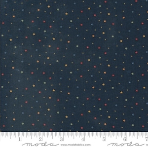 Daisy Lane Pebbles Bluebell by Kansas Troubles Quilters for Moda Fabrics 9769 14 Fabric is sold in HALF YARD increments