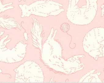 Here Kitty Kitty: Sleepy Time in Pink Here Kitty Kitty: Sleepy Time in Pink