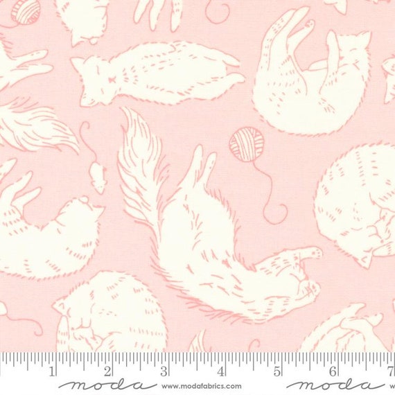 Here Kitty Kitty: Sleepy Time in Pink Here Kitty Kitty: Sleepy Time in Pink