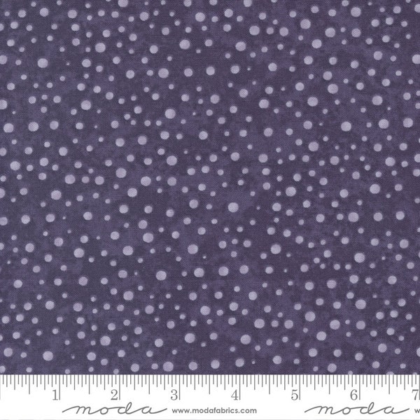 Wild Iris Iris by Holly Taylor for Moda Fabrics 6875 13 Sold in HALF yard increments