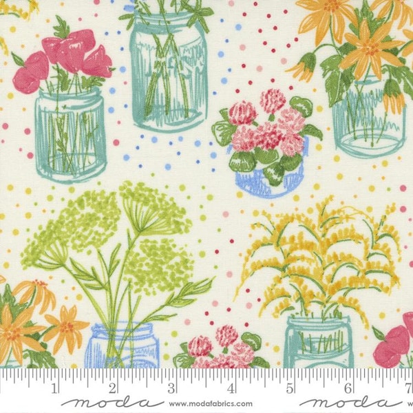 Wild Blossoms Canning Jars Cream by Robin Pickens for Moda Fabrics 48734 11 Sold in HALF yard increments