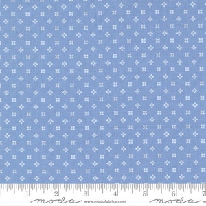 Peachy Keen Seeds Blue by Corey Yoder for Moda Fabrics 29173 15 This fabric is sold in HALF Yard increments