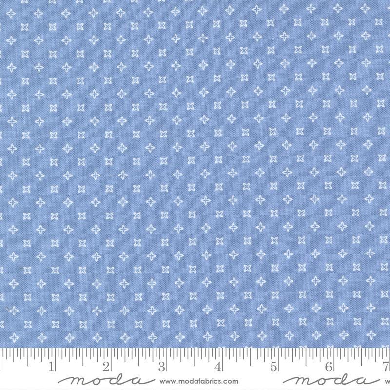 Peachy Keen Seeds Blue by Corey Yoder for Moda Fabrics 29173 15 This fabric is sold in HALF Yard increments