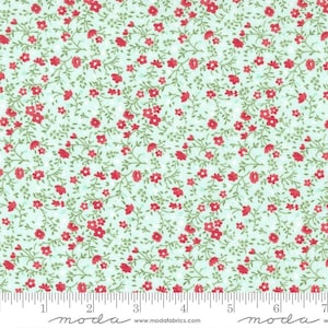 Lighthearted Meadow Light Aqua by Camille Roskelley for Moda Fabrics 55297 14 Fabric sold in HALF YARD increments