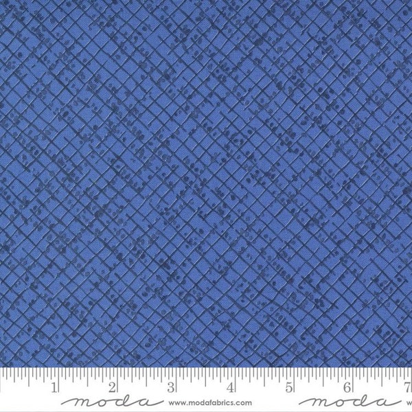 Wild Blossoms Blotted Graph Paper Cornflower by Robin Pickens for Moda Fabrics 48737 24 Sold in HALF yard increments