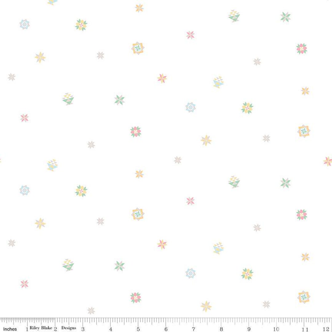 Hush Hush 4 Quilty Pleasure by Tara Reed for Riley Blake Designs C15449 ...