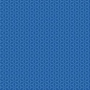 May include: A blue and white geometric pattern with a repeating diamond shape.