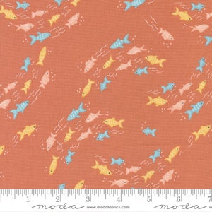 Noahs Ark: Fishy Fish in Coral Noahs Ark: Fishy Fish in Coral