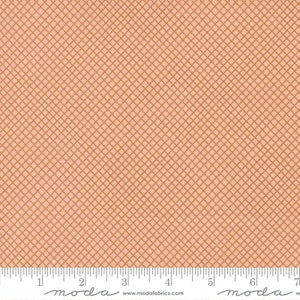 Quaint Cottage Crosscheck Rose by Gingiber of Dreamy Quilts for Moda Fabrics 48377 18 Sold in HALF yard Increments