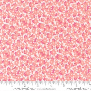 On the Bright Side Flower Garden Strawberry by Me & My Sister Designs for Moda Fabrics 22461 31 Sold in HALF yard increments