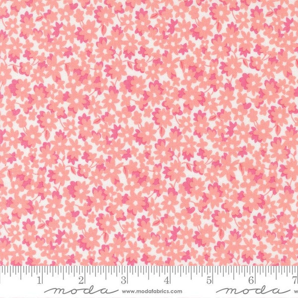 On the Bright Side Flower Garden Strawberry by Me & My Sister Designs for Moda Fabrics 22461 31 Sold in HALF yard increments