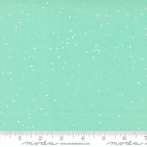 Merry Little Christmas Aqua by Bonnie and Camille for Moda Fabrics, 55245 16 This fabric is sold in HALF yard increments