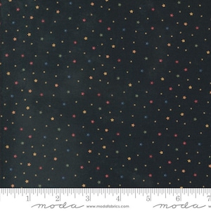 Daisy Lane Pebbles Mulch by Kansas Troubles Quilters for Moda Fabrics 9769 19 Fabric is sold in HALF YARD increments