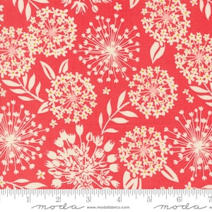 Tango: Simpatico in Tangerine Tango: Simpatico in Tangerine