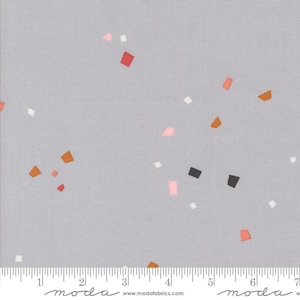Simply Cozy Fragments Silver by Zen Chic for Moda Fabrics 1895 15 Sold in HALF yard increments
