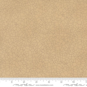 Bloom and Grow Crackle Tan by Kathy Schmitz for Moda Fabrics 5746 140 This Fabric is sold in HALF YARD increments