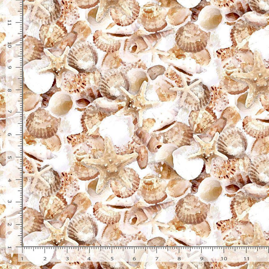 Have Let Marine Shell Collection Let Your Light Shine Packed Shells Shell by Timeless Treasures ...