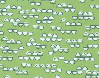 Cozy Cotton Over the Moon Flannel Meadow by Studio RK for Robert Kaufman SRKF-21894-270 MEADOW Sold in Half yard increments