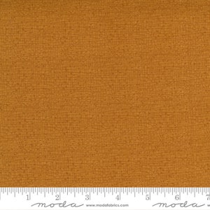 Thatched New Aged Penny by Robin Pickens for Moda Fabrics 48626 180 Sold in HALF yard increments