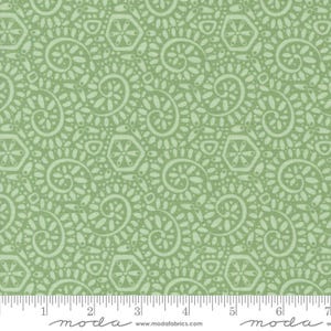 Tango: Canto in Sage Tango: Canto in Sage