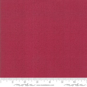 Thatched Cranberry by Robin Pickens for Moda Fabrics 48626 118 Sold in HALF yard increments