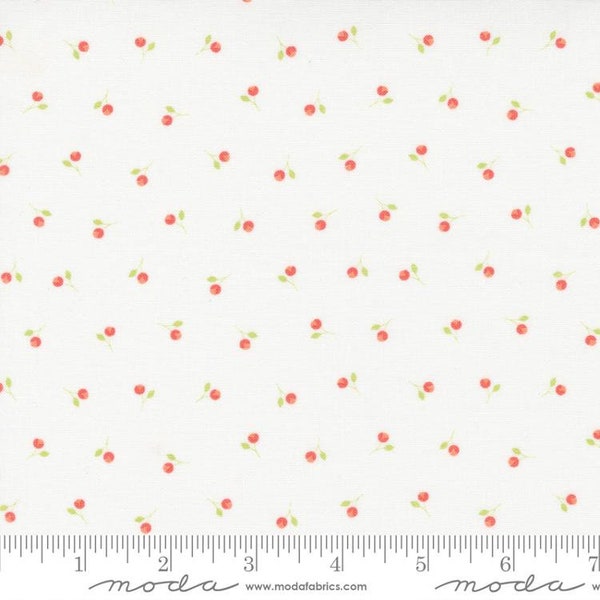 Sunwashed Bittie Buds Cloud by Corey Yoder for Moda Fabrics 29164 11 This fabric is sold in HALF Yard increments