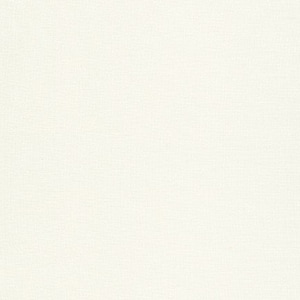 May include: A plain white background.