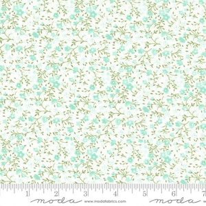Lighthearted Meadow Cream Aqua by Camille Roskelley for Moda Fabrics 55297 21 Fabric sold in HALF YARD increments