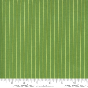 Sunday Stroll Green by Bonnie and Camille for Moda Fabrics, 55228 20 This fabric is sold in HALF yard increments