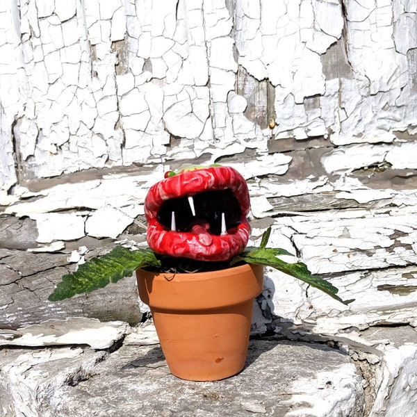 Little shop of horrors plant - monster plant - man eating plant - horror plant - carnivorous plant
