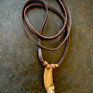 May include: A brown leather necklace with a pendant resembling a tooth. The pendant is light brown with a white tip. The necklace has a silver clasp and is displayed on a dark, textured surface.