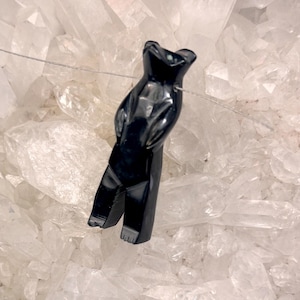 Puede incluir: Un colgante de búho de ónix negro pulido. El búho está tallado con detalles y cuelga de una fina cadena de plata. El fondo es un grupo de cristales de cuarzo transparente.