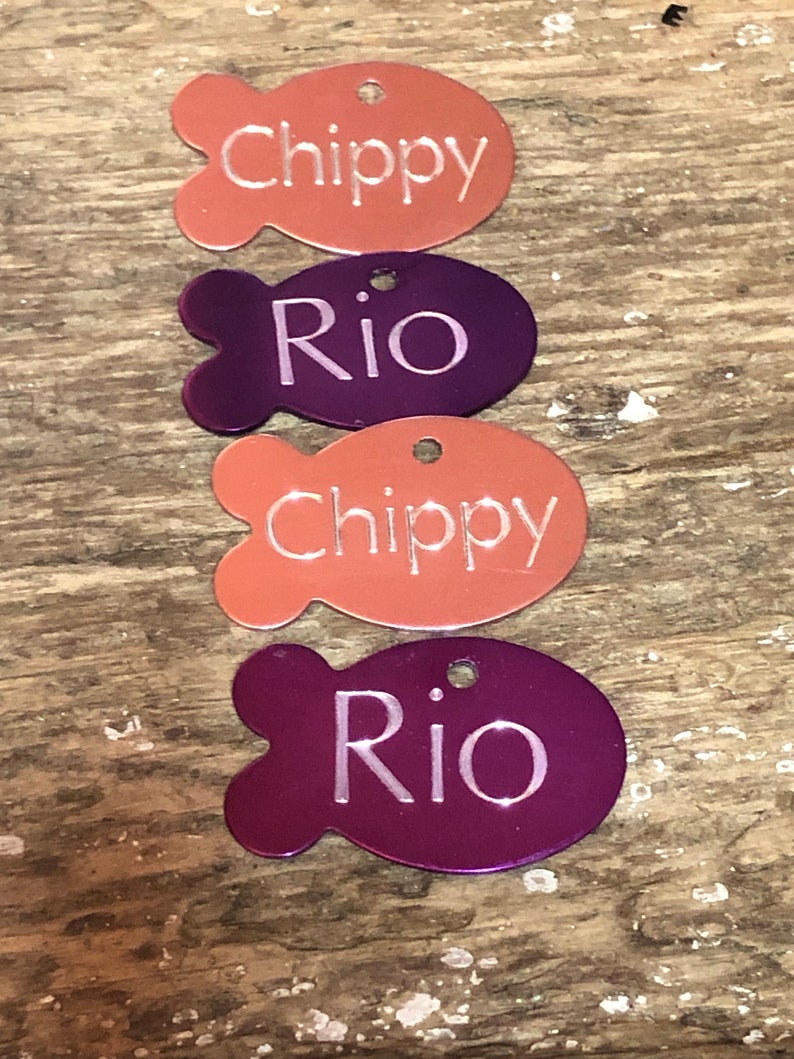 Coloured Cat Tag Cat ID Tag Cat Name Tag Pet Tags Etsy Canada