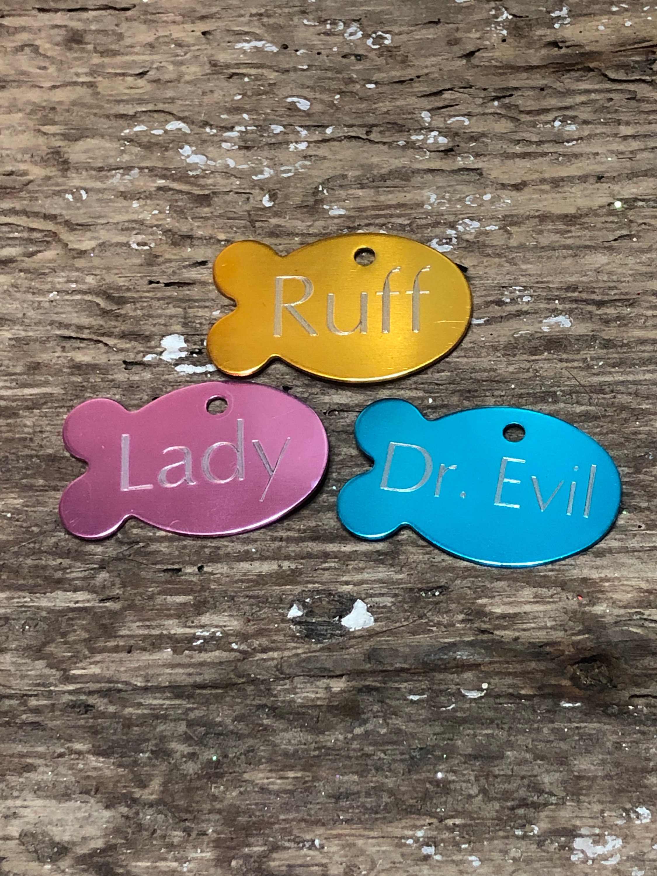 Coloured Cat Tag Cat ID Tag Cat Name Tag Pet Tags Etsy Canada