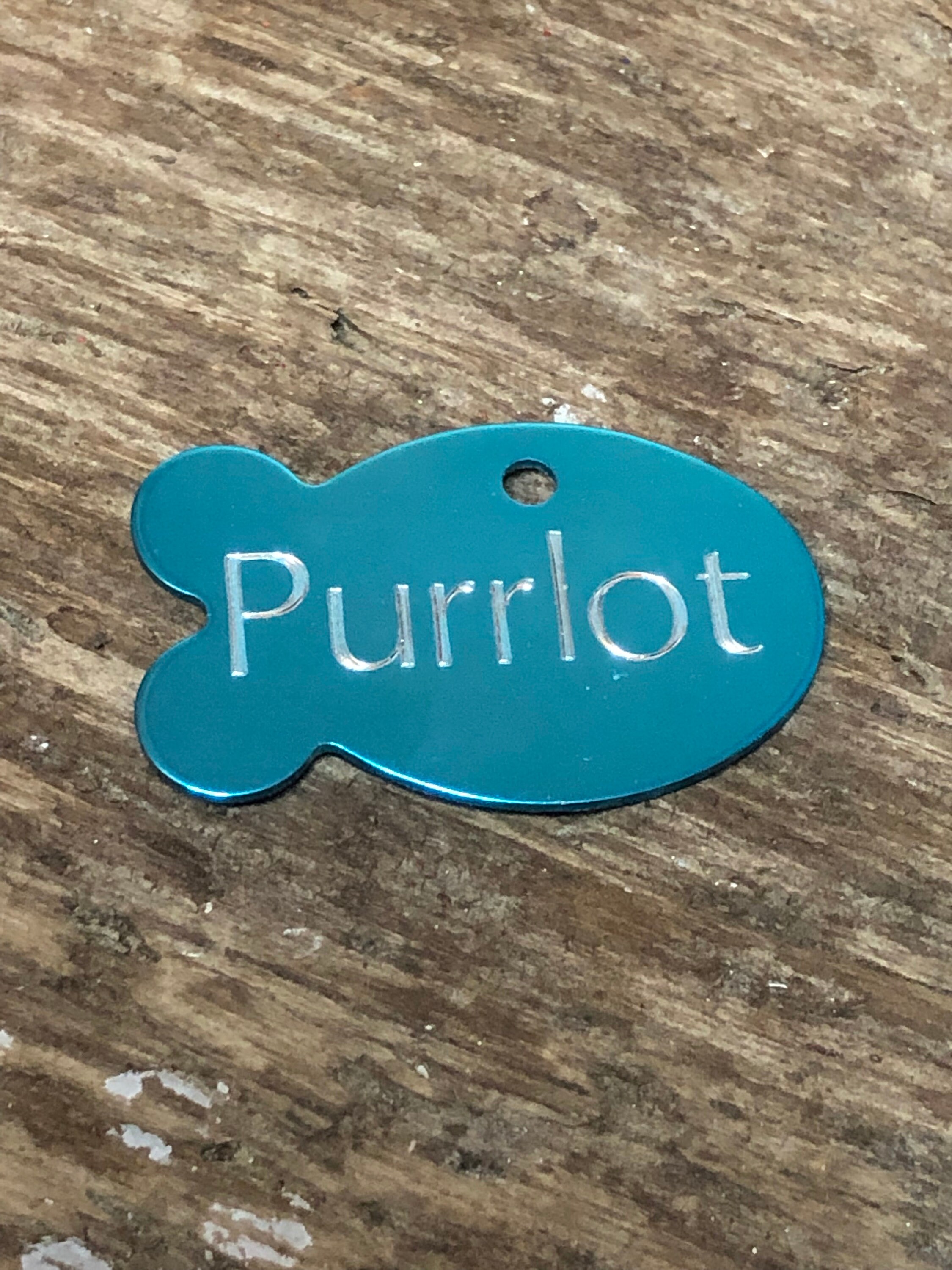Coloured Cat Tag Cat ID Tag Cat Name Tag Pet Tags Etsy Canada coloured-cat-tag-cat-id-tag-cat-name-tag-pet-tags-etsy-canada